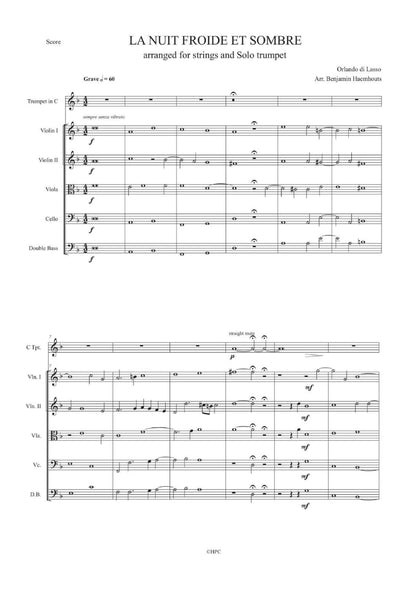 LA NUIT FROIDE ET SOMBRE – arranged for String Quintet and Solo Trumpet