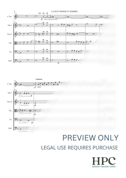 LA NUIT FROIDE ET SOMBRE – arranged for String Quintet and Solo Trumpet