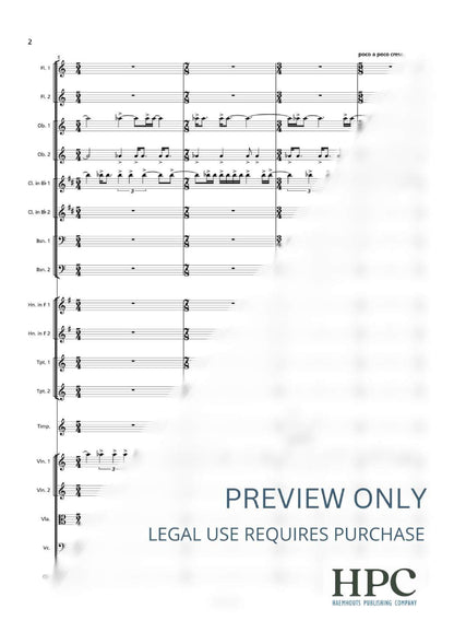 OUVERTURE FOR PUURS – dedicated to Steven Defoor